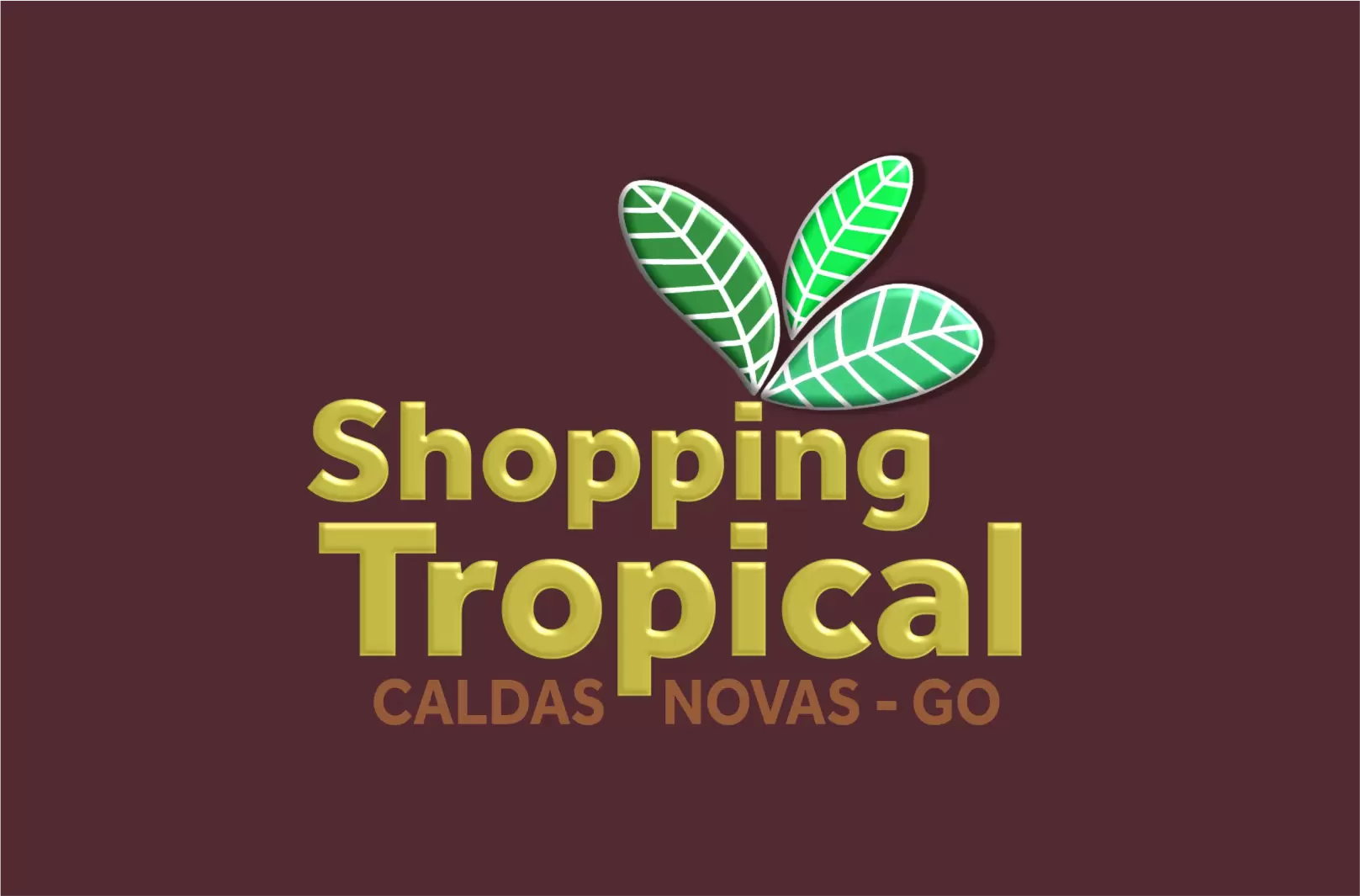shopping.webp